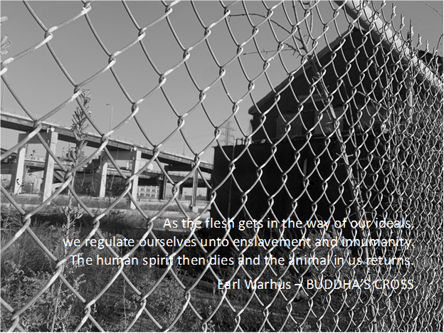 Landing pic - chain link with flesh